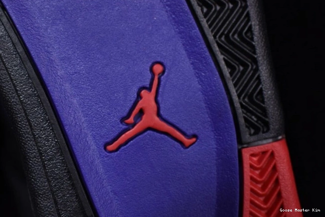 Jordan Retro AQ3816-065 Raptors